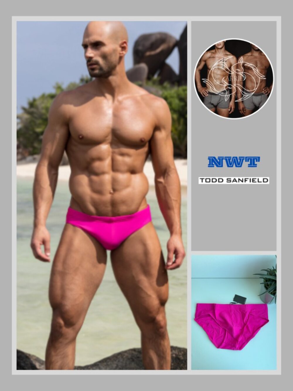 Todd Sanfield - Deep CFS Swim Brief - Lotus Pink (M)